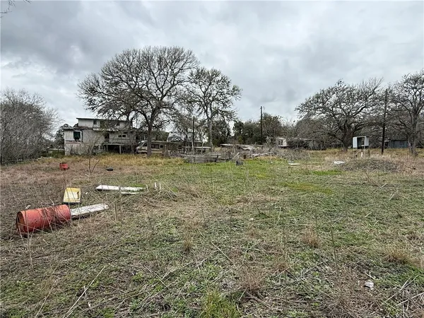 a view of a yard with a tree