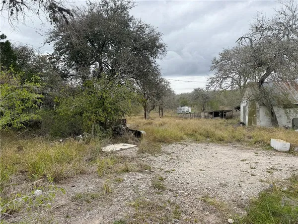 a view of a field with trees in the background