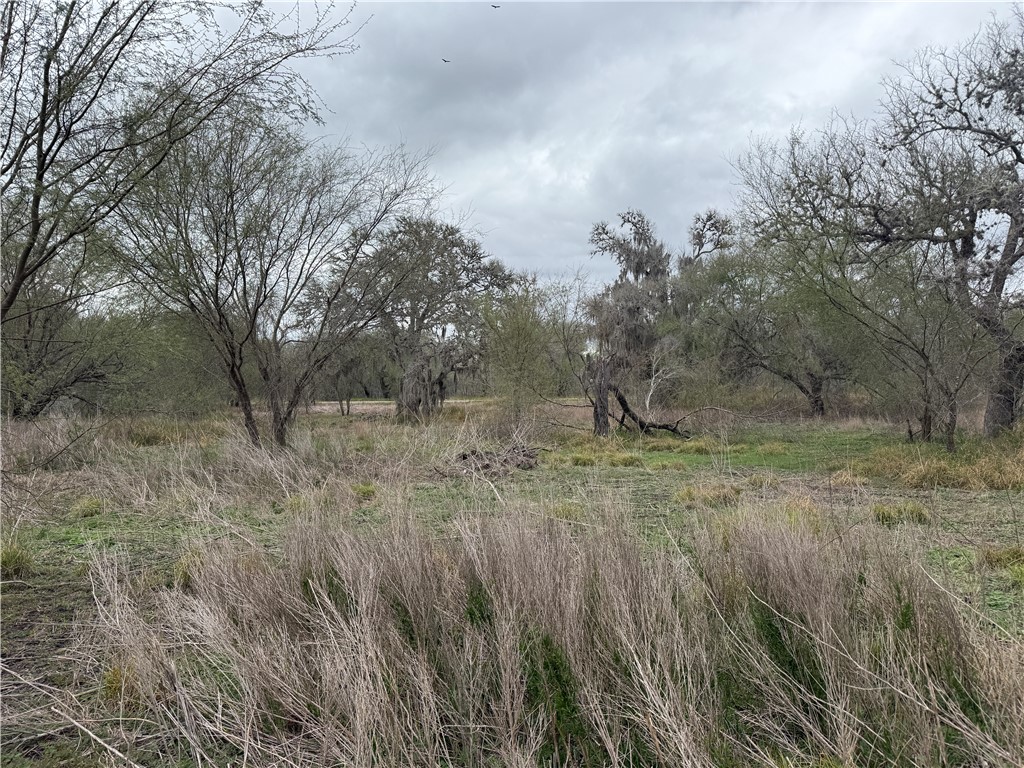 6275 North Sandy Hollow Road Sandia, TX 78383 - Photo 9 of 11