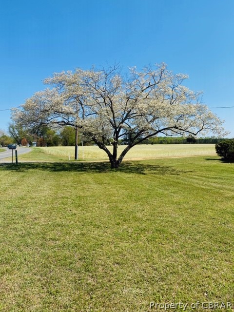 3916 Buena Vista Road Shacklefords, VA 23156 - Photo 48 of 50