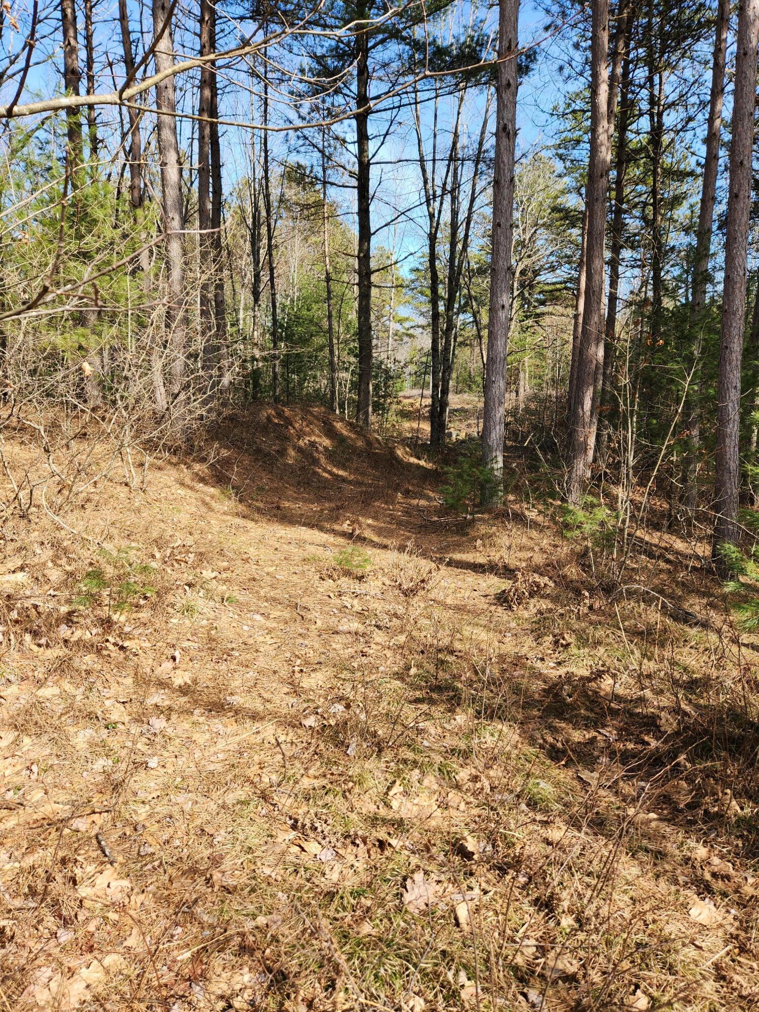 Lot 8 Lake Ridge Road West Newfield, ME 04095 - Photo 2 of 4 Lake Ridge 1