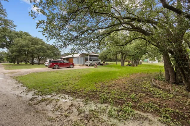 a view of a trees in front of a house