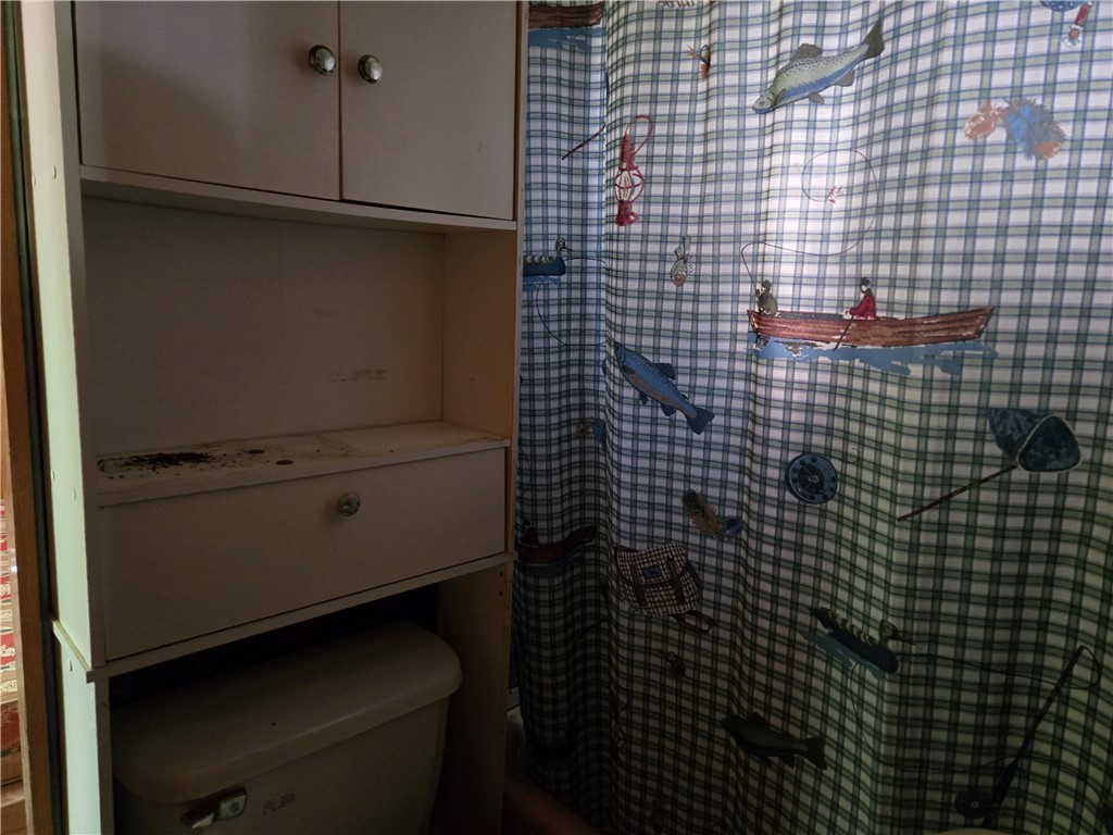 4175 Pre Emption Road Tyrone, NY 14891 - Photo 17 of 19 Full bath with storage cabinetry and shower, featu