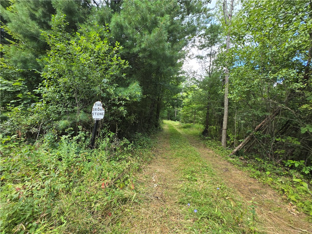 4175 Pre Emption Road Tyrone, NY 14891 - Photo 3 of 19 Private Wooded Drive Leading to 'The Brown Stone'