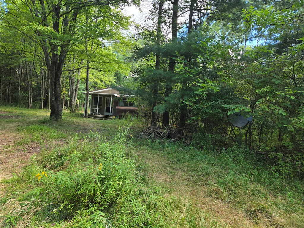 4175 Pre Emption Road Tyrone, NY 14891 - Photo 4 of 19 Private Cabin Nestled on 3 Wooded Acres — Surround