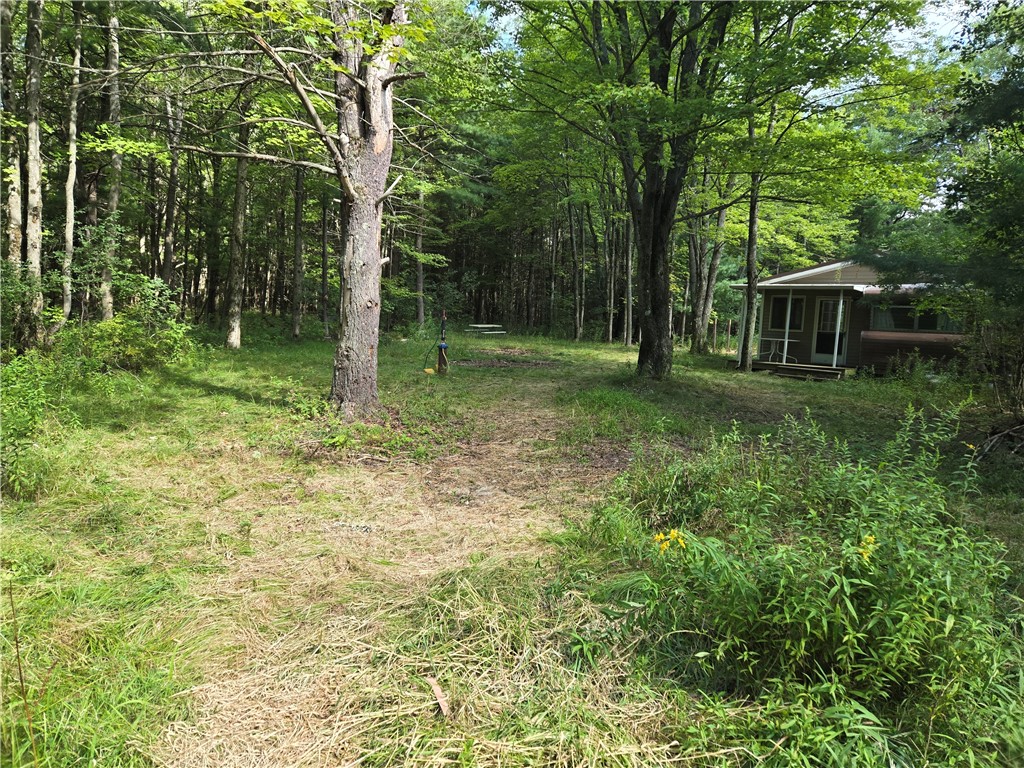 4175 Pre Emption Road Tyrone, NY 14891 - Photo 5 of 19 Rustic cabin tucked in a private wooded setting, s
