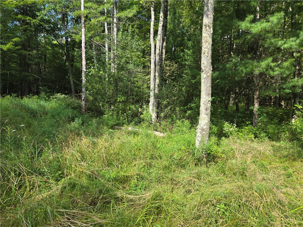 4175 Pre Emption Road Tyrone, NY 14891 - Photo 6 of 19