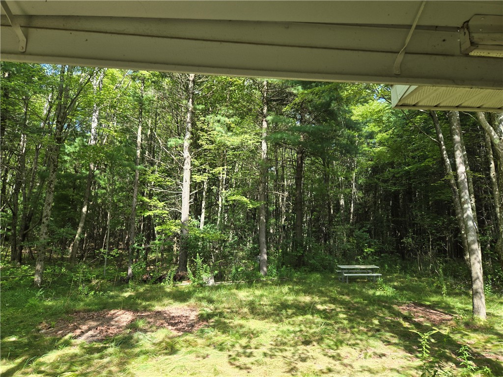 4175 Pre Emption Road Tyrone, NY 14891 - Photo 8 of 19