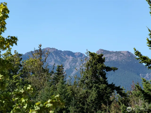 a view of a bunch of trees and bushes