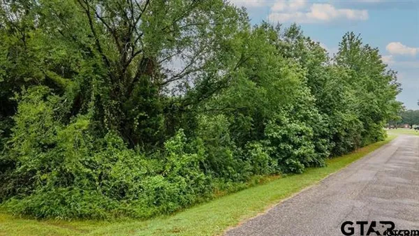 $39,400 | Lot 43 A Cr, Frankston, TX 75763