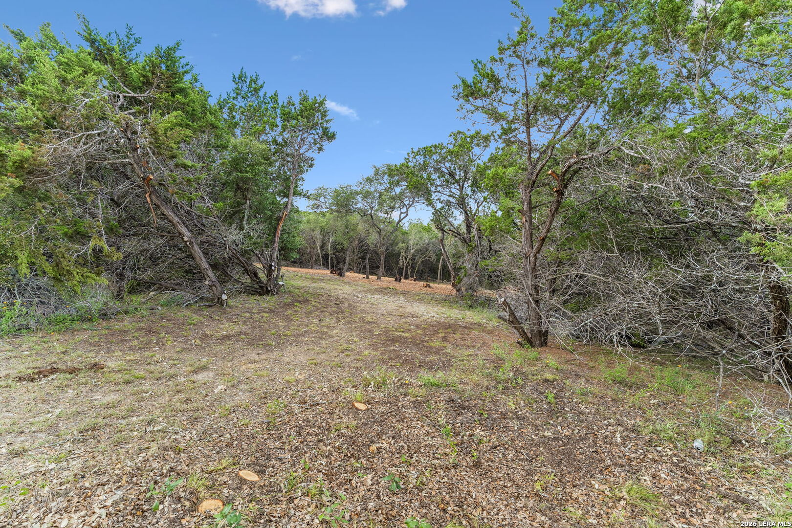 0 Stallion Estates (lot 89) Spring Branch, TX 78070 - Photo 4 of 14
