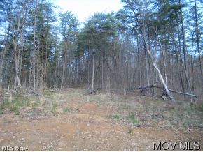 0 Rt 3 Belpre, OH 45714 - Photo 2 of 6 Gallery Image 2
