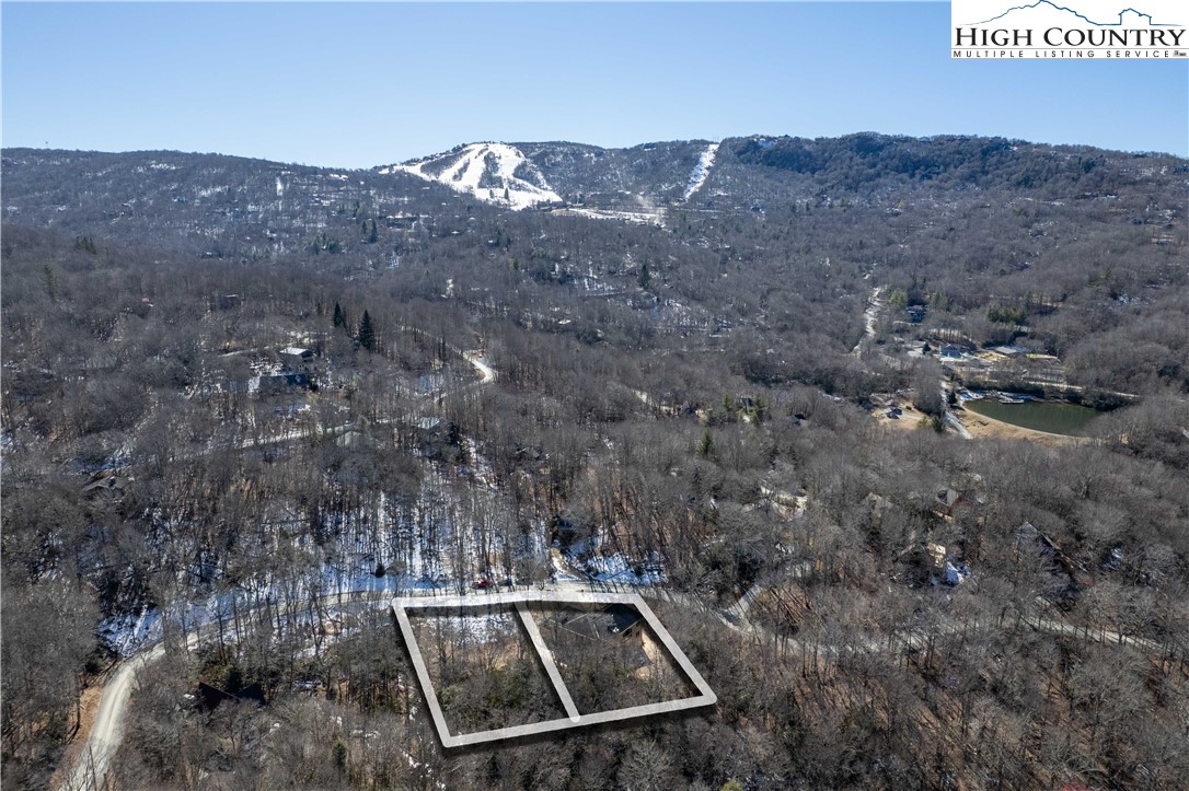 216 Greenbriar Road Beech Mountain, NC 28604 - Photo 47 of 50 a view of a dry yard with trees