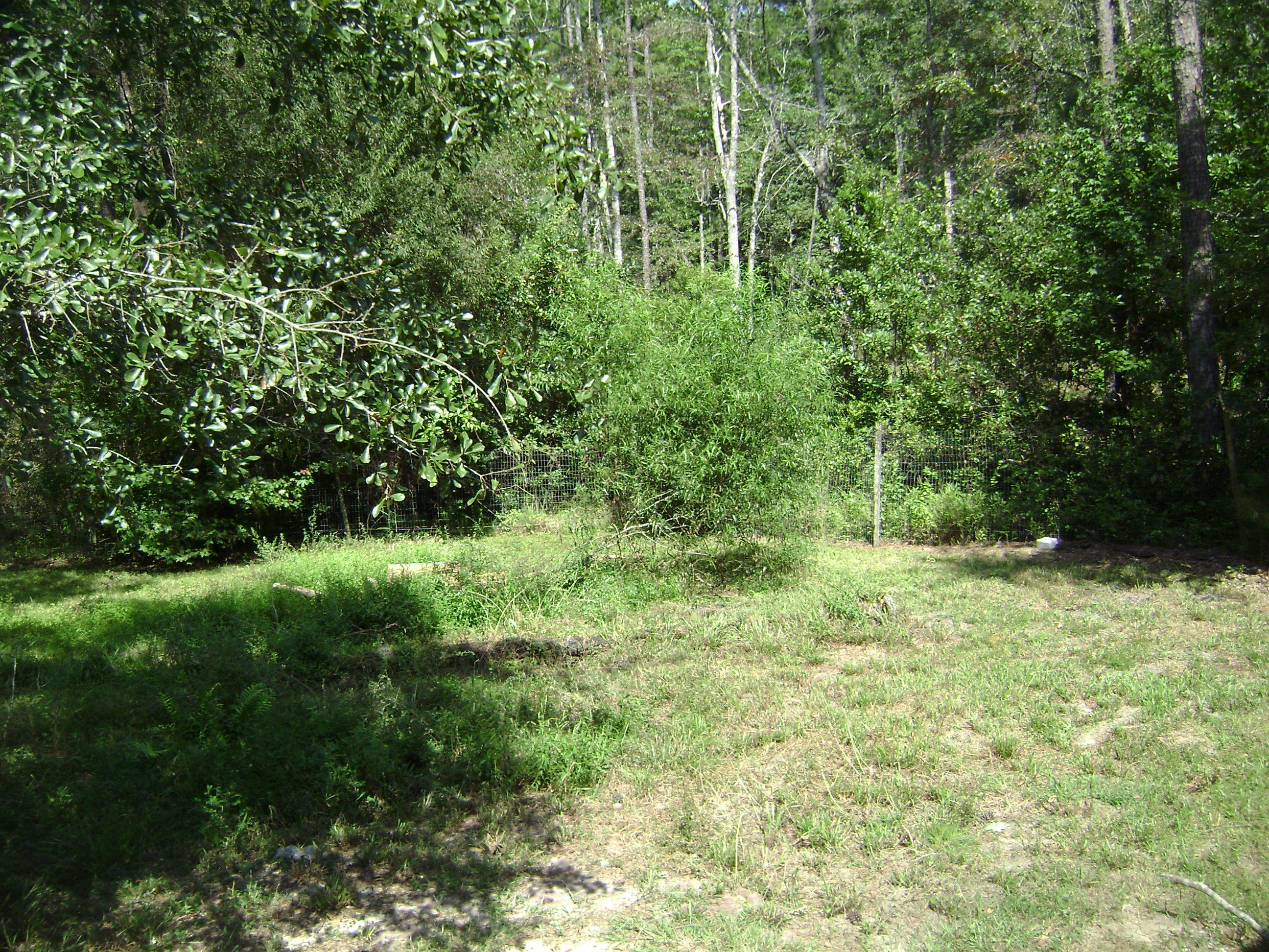 297 State Rd S-15-714 Walterboro, SC 29488 - Photo 17 of 20 DSC04409