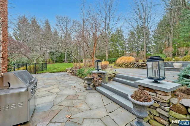 a view of a park with large trees