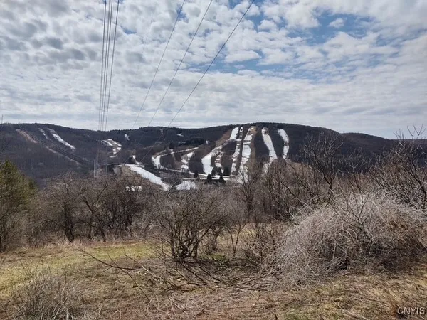 $450,000 | 2220 Kypriotis Drive, Virgil, NY 13045