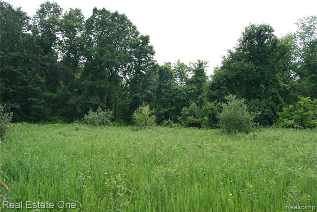 V/l Perry Lake Road Ortonville, MI 48462 - Photo 8 of 30 Gallery Image 8