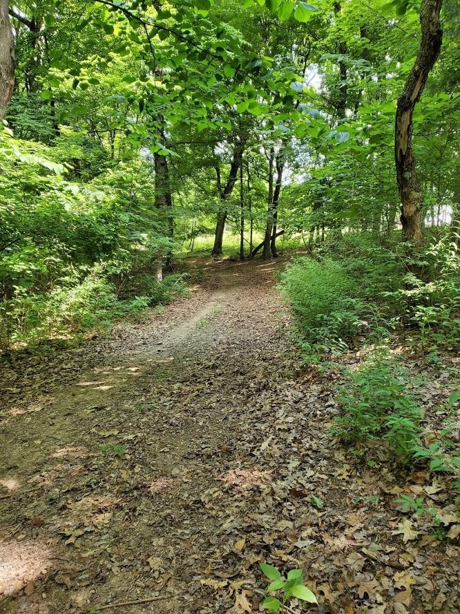 482 Cabbage Road Blaine, TN 37709 - Photo 36 of 40 Gallery Image 36