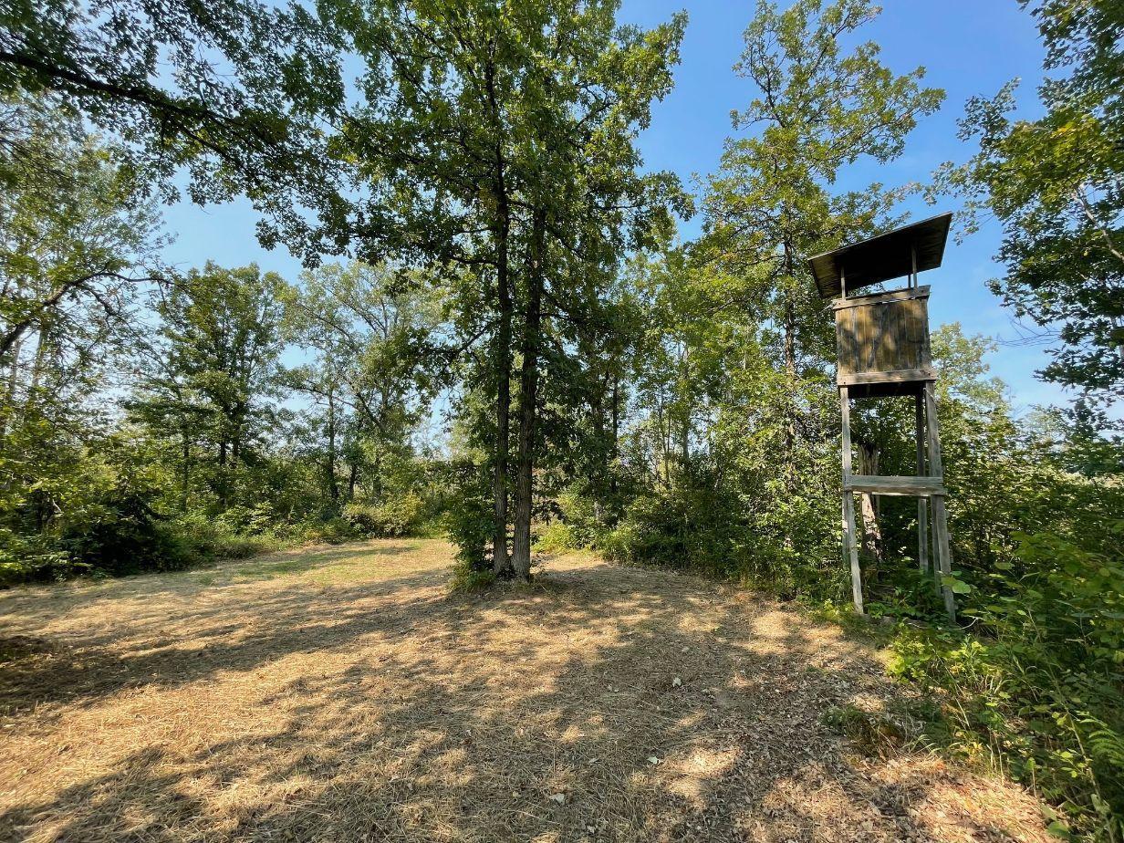 Xxx Lower Tamarack Road Bruno, MN 55712 - Photo 1 of 1 Gallery Image 1