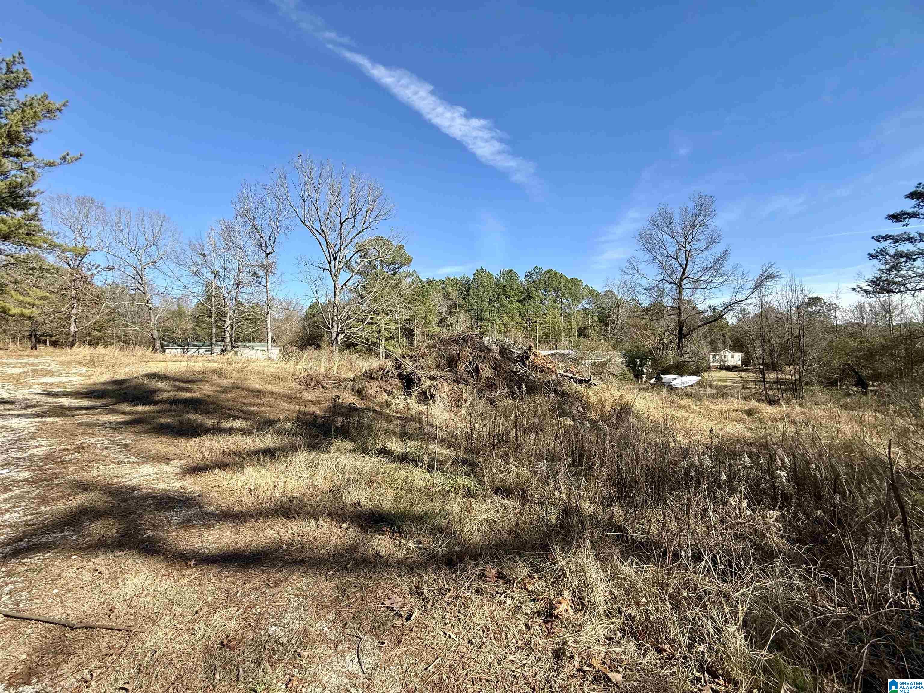 196 Arco Dairy Road Alpine, AL 35014 - Photo 6 of 7