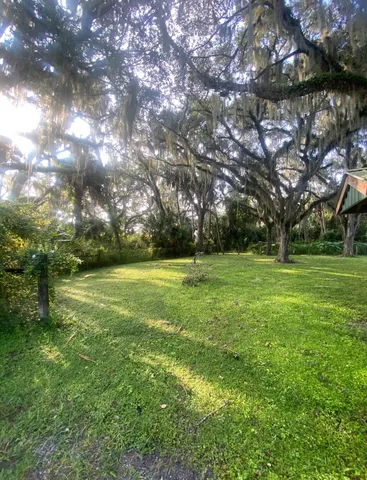 a view of yard with green space