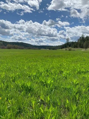 $114,950 | 4681 Springdale Hunters Road, Springdale, WA 99173