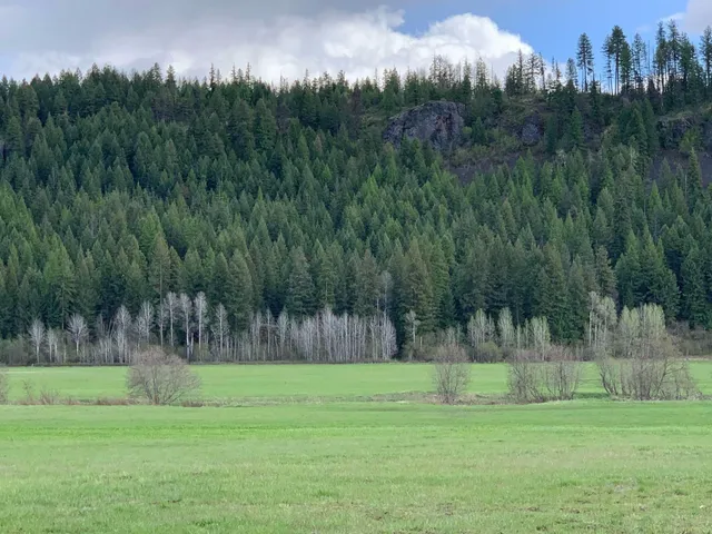 $114,950 | 4681 Springdale Hunters Road, Springdale, WA 99173