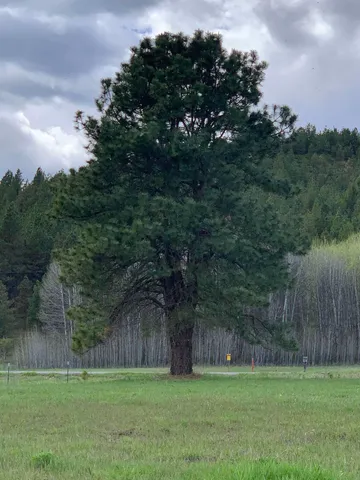 $114,950 | 4681 Springdale Hunters Road, Springdale, WA 99173