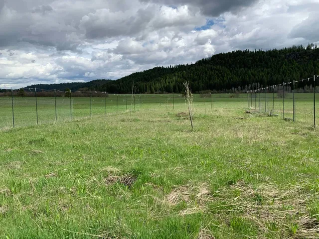 $114,950 | 4681 Springdale Hunters Road, Springdale, WA 99173