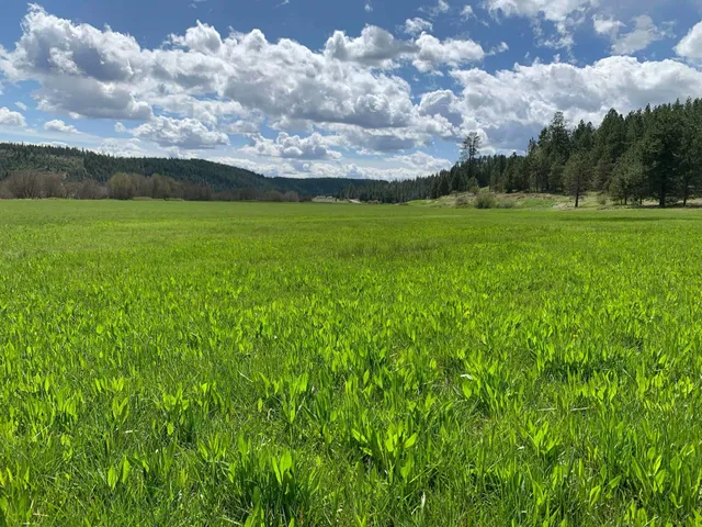 $114,950 | 4681 Springdale Hunters Road, Springdale, WA 99173