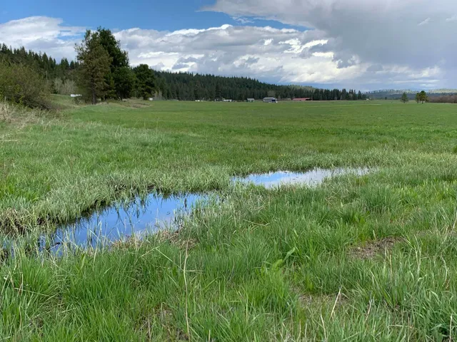 $114,950 | 4681 Springdale Hunters Road, Springdale, WA 99173