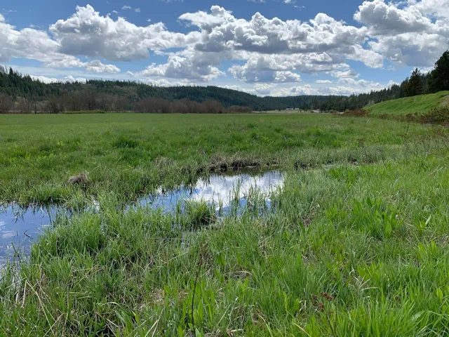 $114,950 | 4681 Springdale Hunters Road, Springdale, WA 99173