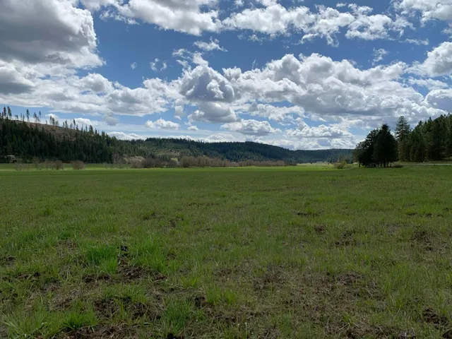 $114,950 | 4681 Springdale Hunters Road, Springdale, WA 99173