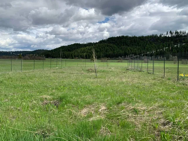 $114,950 | 4681 Springdale Hunters Road, Springdale, WA 99173