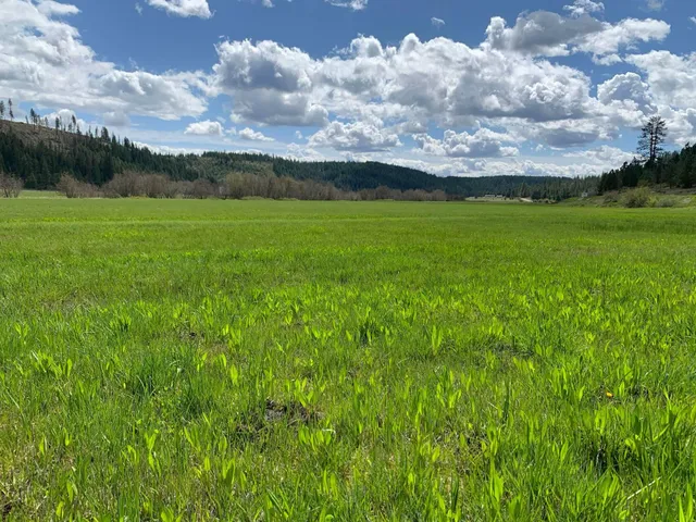 $114,950 | 4681 Springdale Hunters Road, Springdale, WA 99173