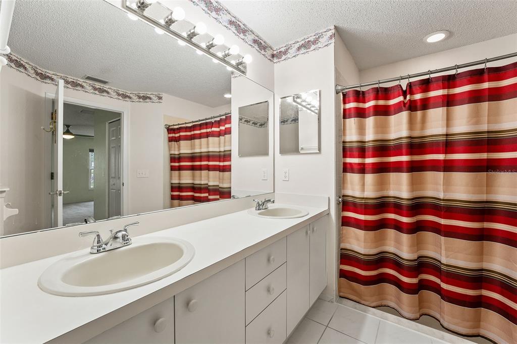 1415 Pinewood Hills Court Spring Hill, FL 34606 - Photo 24 of 45 a bathroom with a sink a large mirror and shower curtain