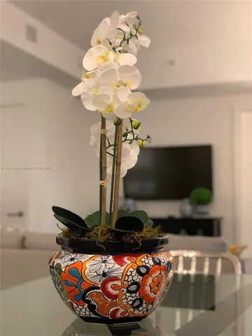 $4,000 | 501 Northeast 31st Street, Unit 709, Miami, FL 33137