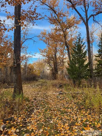 $185,000 | Tbd Burden Lane, Salmon, ID 83467