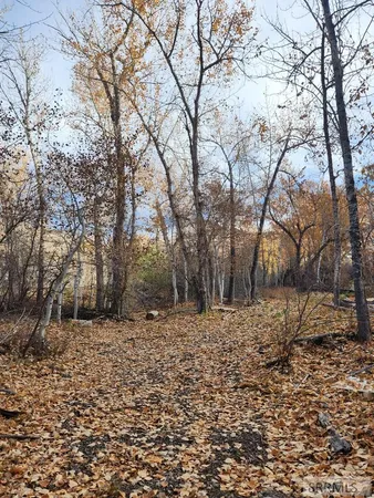 $185,000 | Tbd Burden Lane, Salmon, ID 83467