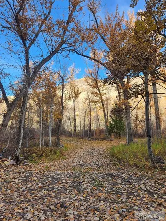 $185,000 | Tbd Burden Lane, Salmon, ID 83467