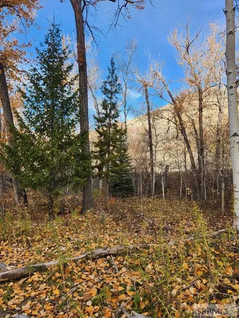 $185,000 | Tbd Burden Lane, Salmon, ID 83467