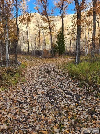 $185,000 | Tbd Burden Lane, Salmon, ID 83467