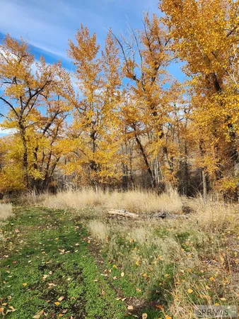 $185,000 | Tbd Burden Lane, Salmon, ID 83467
