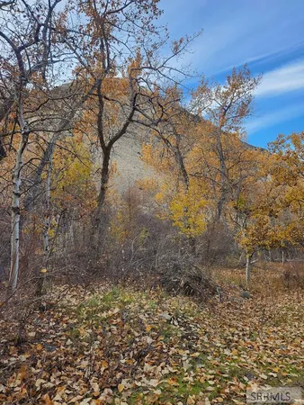 $185,000 | Tbd Burden Lane, Salmon, ID 83467