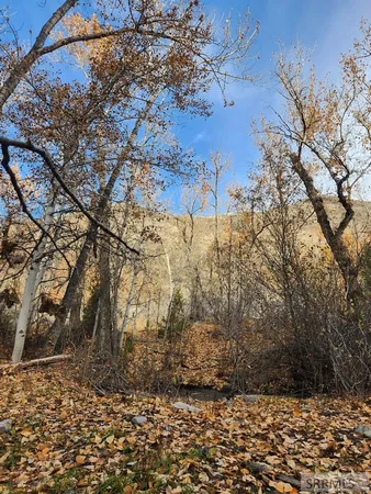 $185,000 | Tbd Burden Lane, Salmon, ID 83467