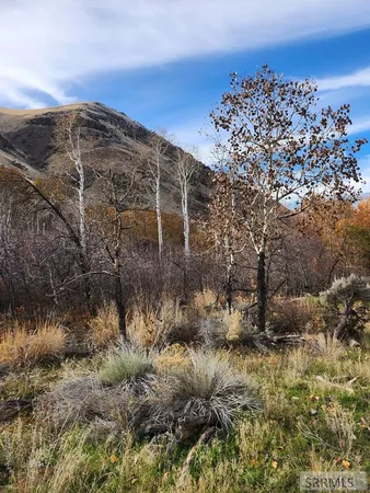 $185,000 | Tbd Burden Lane, Salmon, ID 83467