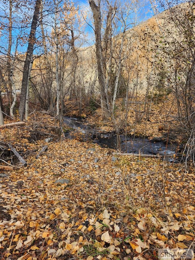 Tbd Burden Lane Salmon, ID 83467 - Photo 26 of 27
