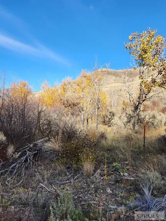 $185,000 | Tbd Burden Lane, Salmon, ID 83467