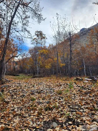 $185,000 | Tbd Burden Lane, Salmon, ID 83467