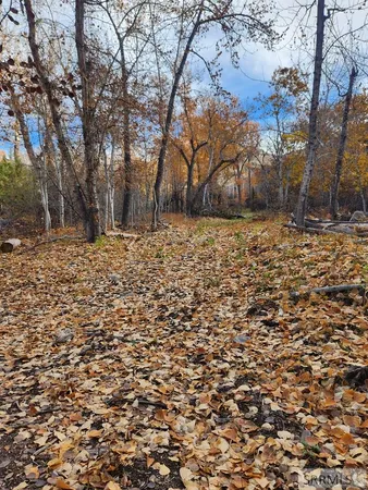 $185,000 | Tbd Burden Lane, Salmon, ID 83467